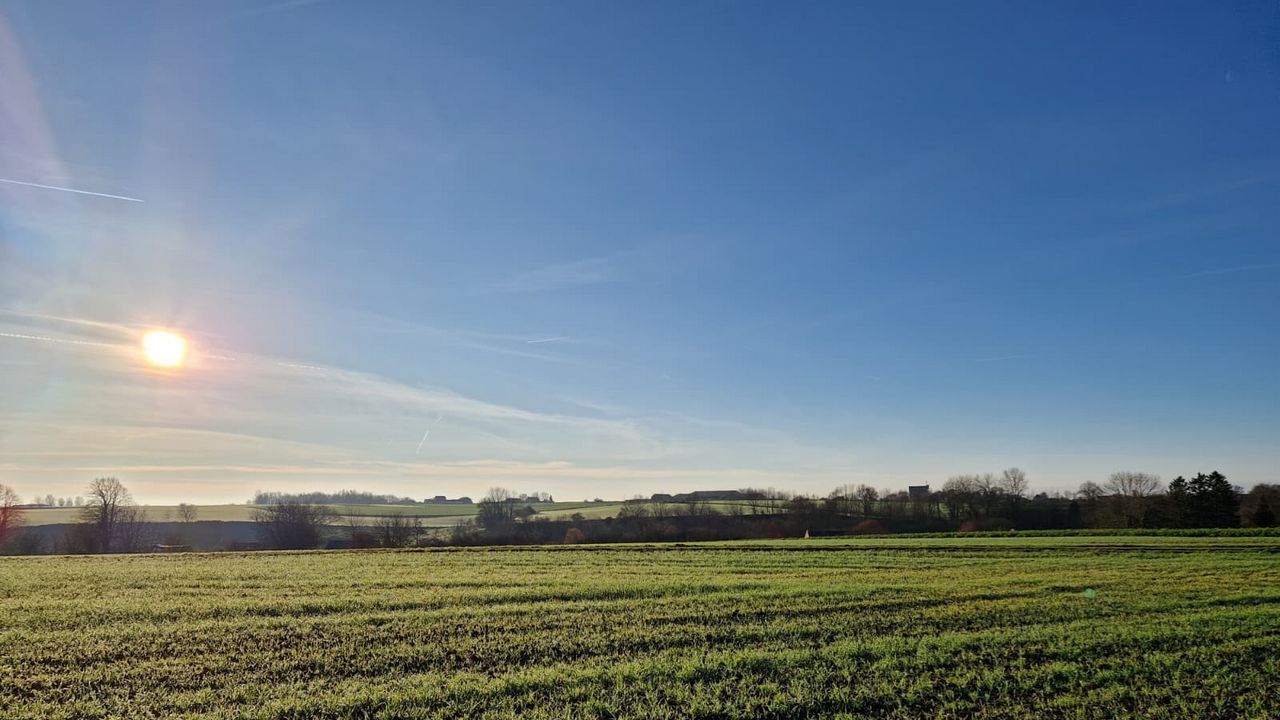 Waarnemingen december 2025 : weer een maand met contrasten, maar over het algemeen zacht en droog
