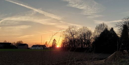 Waarnemingen februari 2026 : een zeer zachte, regenachtige en vochtige maand.