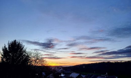 Waarnemingen maart 2026 : een zeer zachte en zonnige maand.