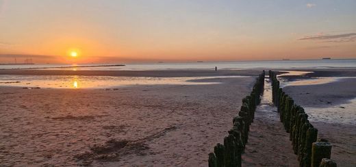 Waarnemingen mei 2026 : de lente, de herfst en dan de zomer!
